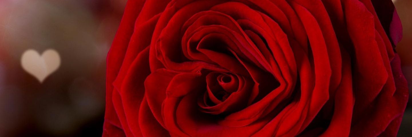 enriqj's profile banner image
