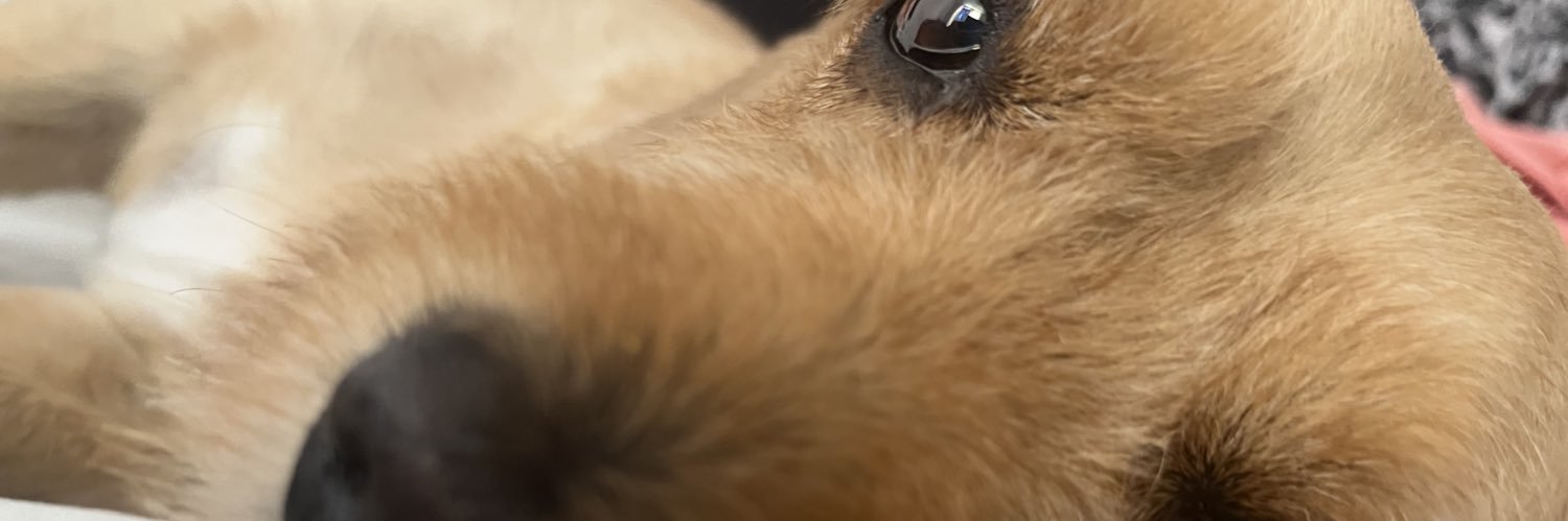 Sara Criollo Lozano banner