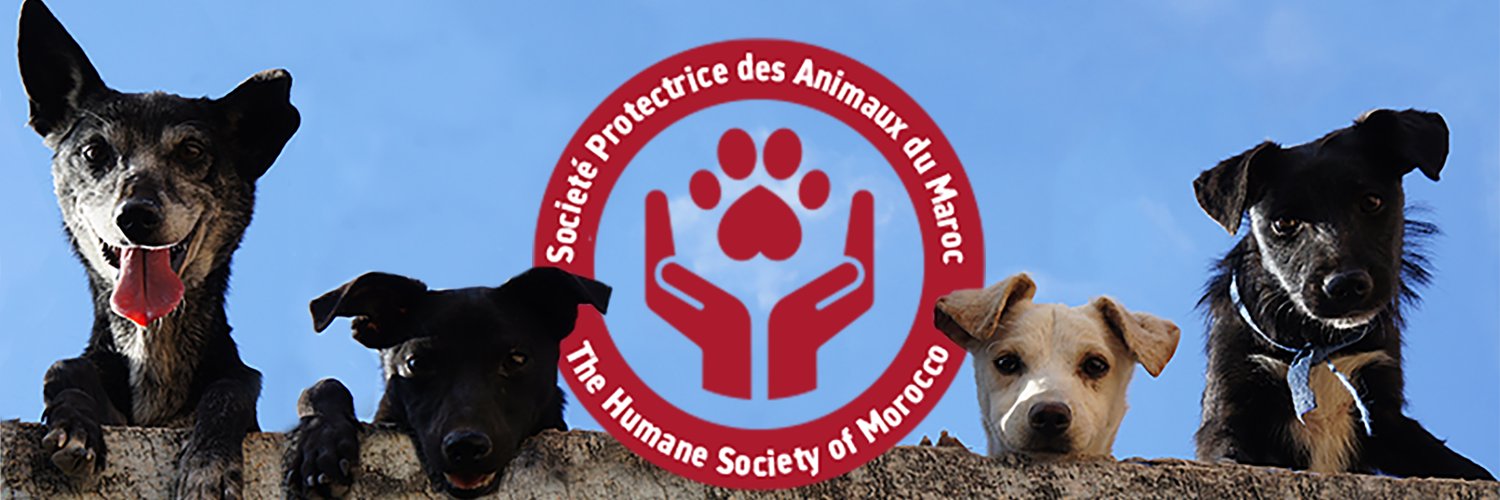 HumaneMorocco's profile banner image