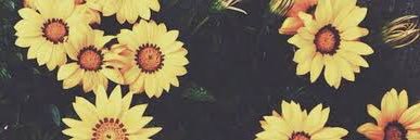 yahiraaaaa's profile banner image