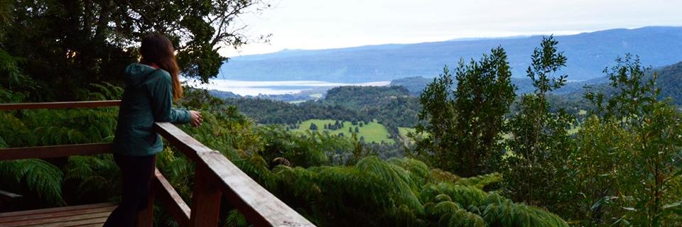 Natalia Contreras banner