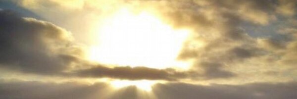 matthews_sheri Profile Banner