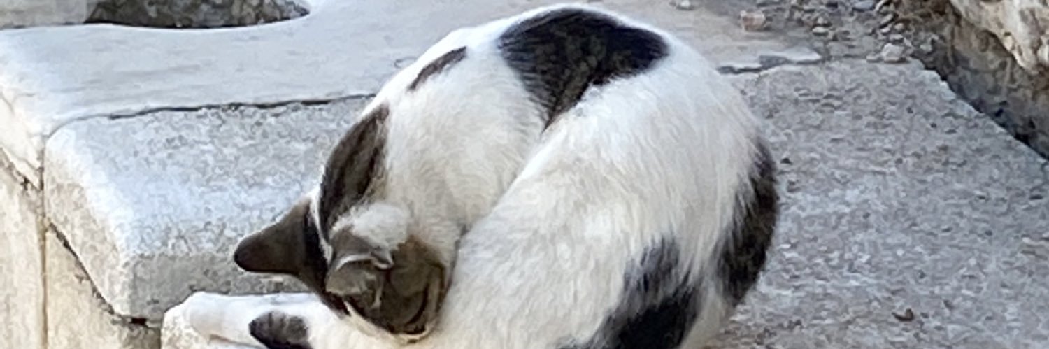 Simbiooosis's profile banner image