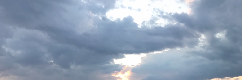 tsapulinaaa's profile banner image