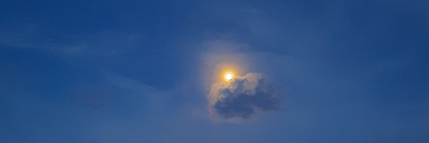 Gabriel ୧⍤⃝🤫 banner