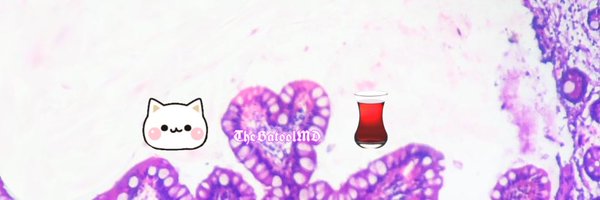TheBatoolMD Profile Banner