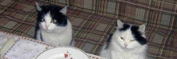 싹…………. banner