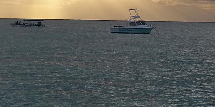 Frimet Goldberger banner