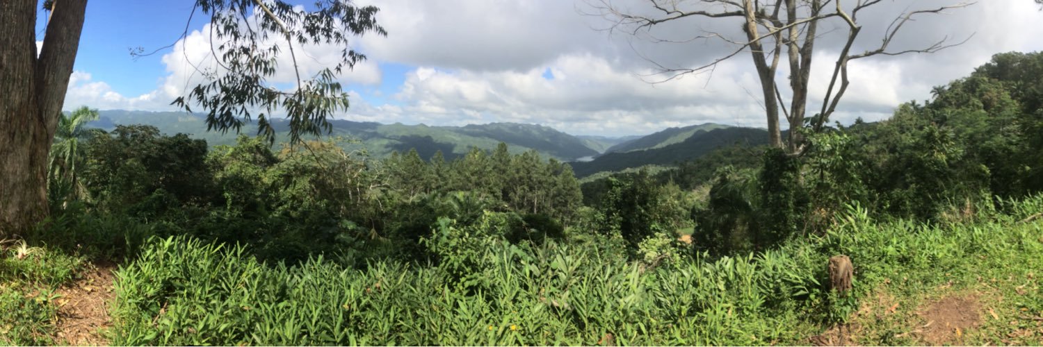 leoperellis's profile banner image