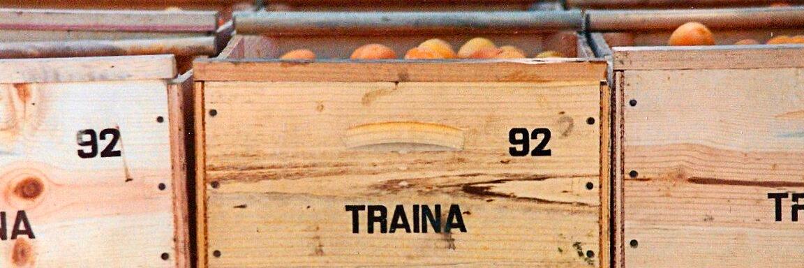 TrainaFoods's profile banner image