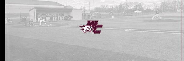 Westosha Central Baseball Profile Banner