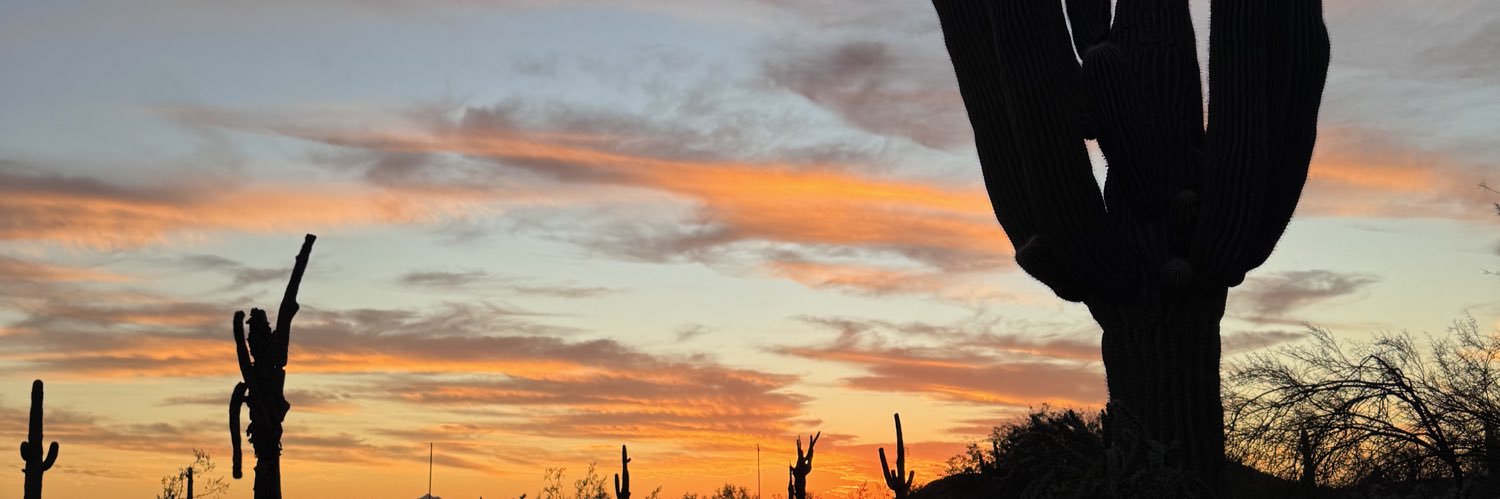 Matt Litwicki banner