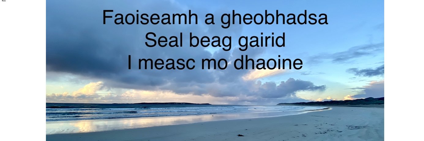 Dearbhail UíLughaidh banner