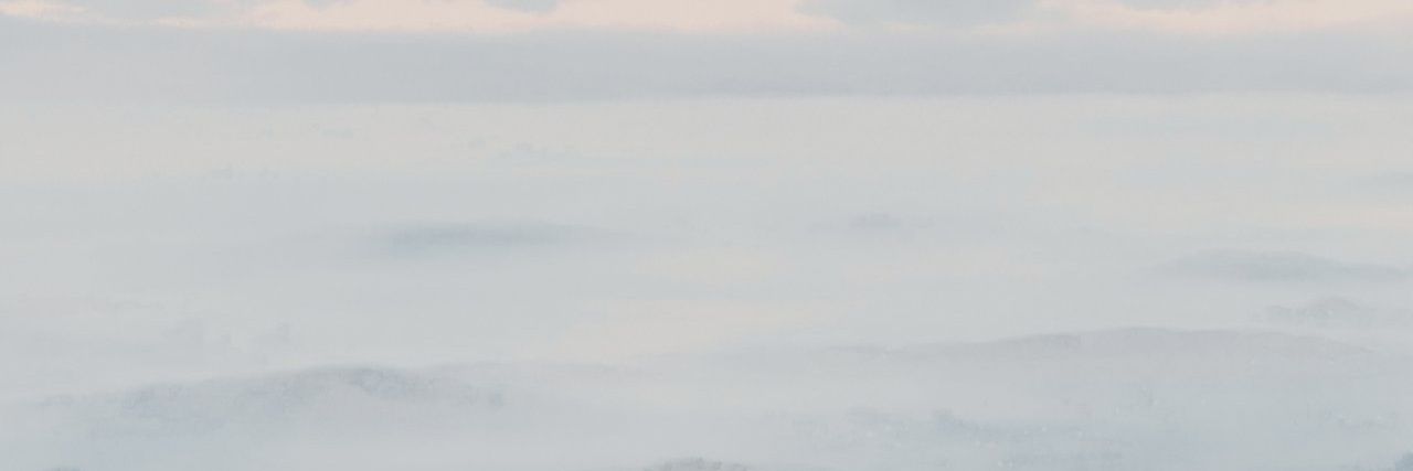 LAMEES | لـَمِيـس 🌸 banner