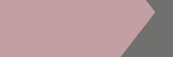 TiedeakatemiaTP Profile Banner