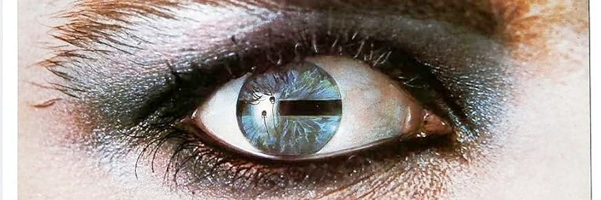 Neale Johnston banner