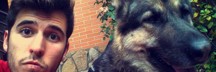 DavidPardo_96's profile banner image