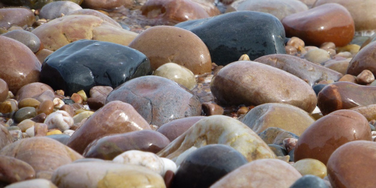 Natalie Fasham banner