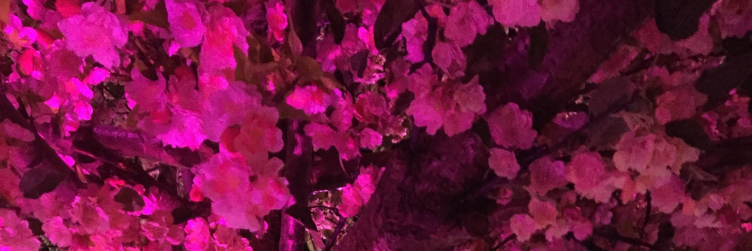 NikkiCorcoran's profile banner image