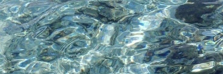 raye. banner