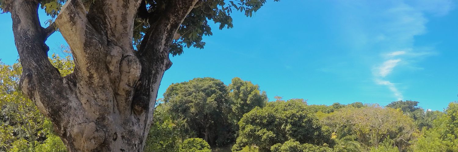 IgorAron's profile banner image