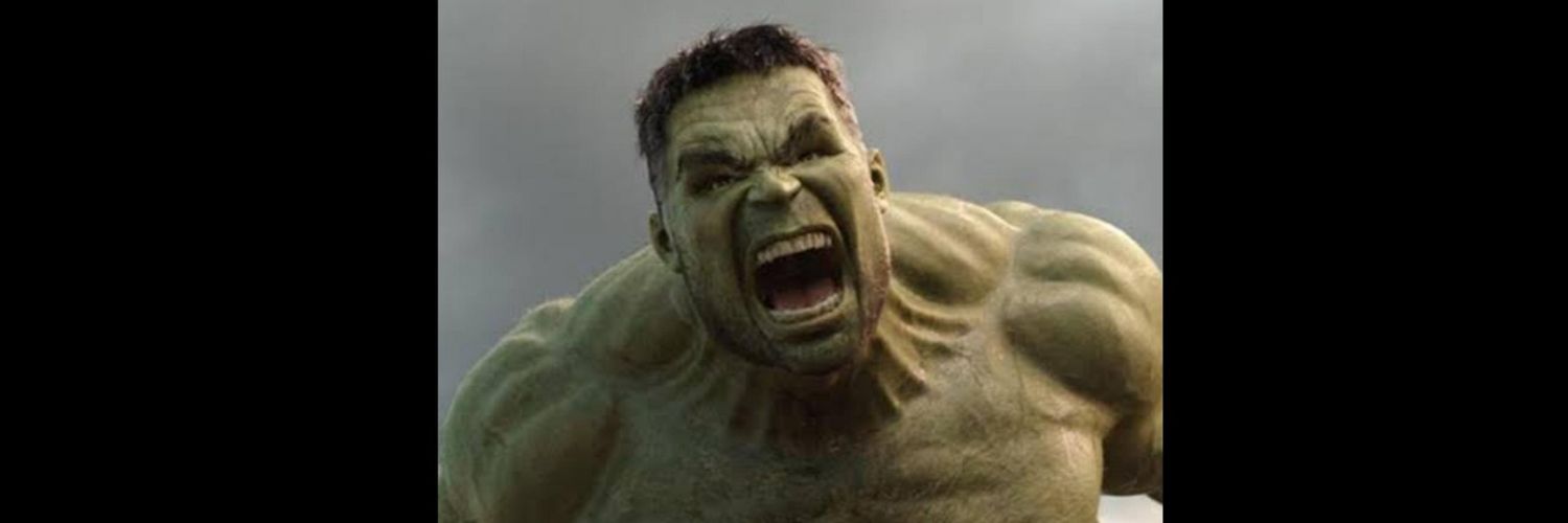 DUCH 🇵🇱🇪🇺🇺🇦 banner