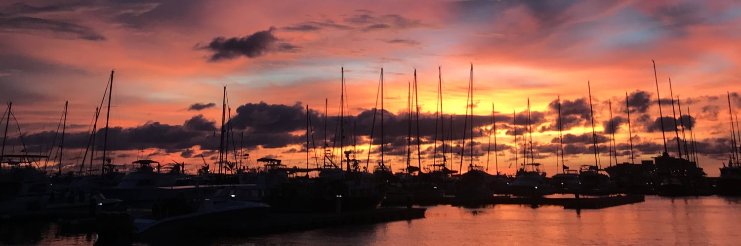 MariP_Ortiz's profile banner image