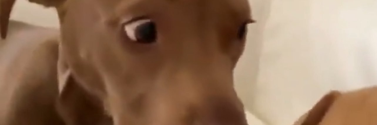 In a Real Way banner