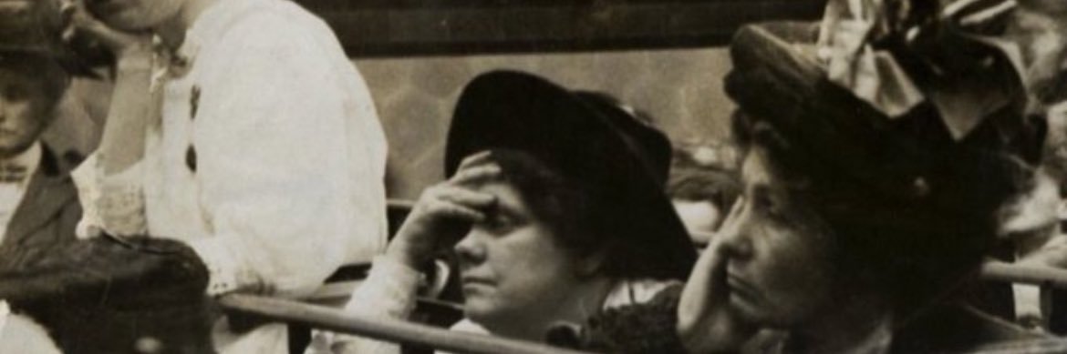Wild_Timmy's profile banner image