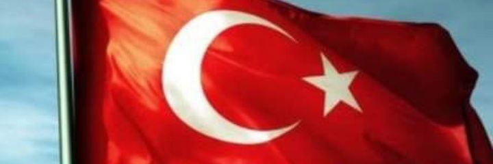 merva_nimetoglu's profile banner image