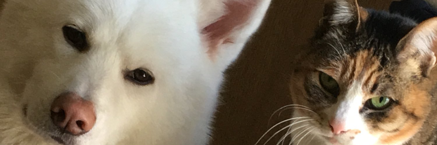 emi0634's profile banner image