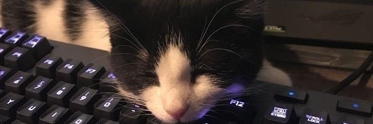 _zarzadai's profile banner image