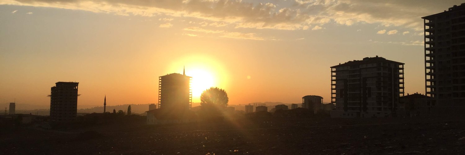 Sandra Pertek banner