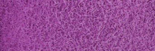 USivets Profile Banner