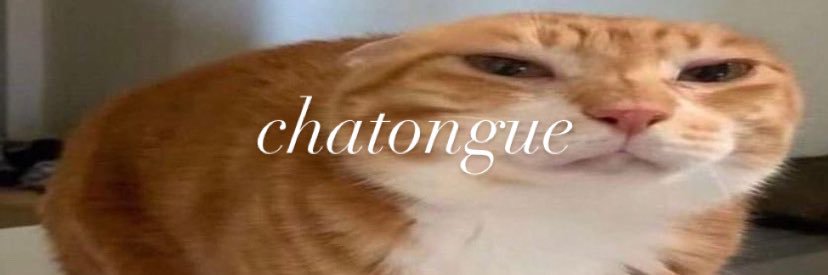 chatongue banner