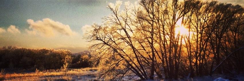 mstradiotto's profile banner image