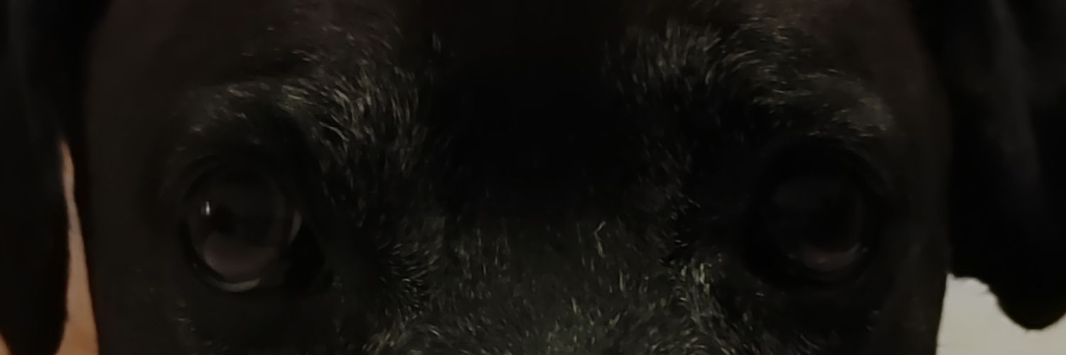Crypto_Doidos's profile banner image