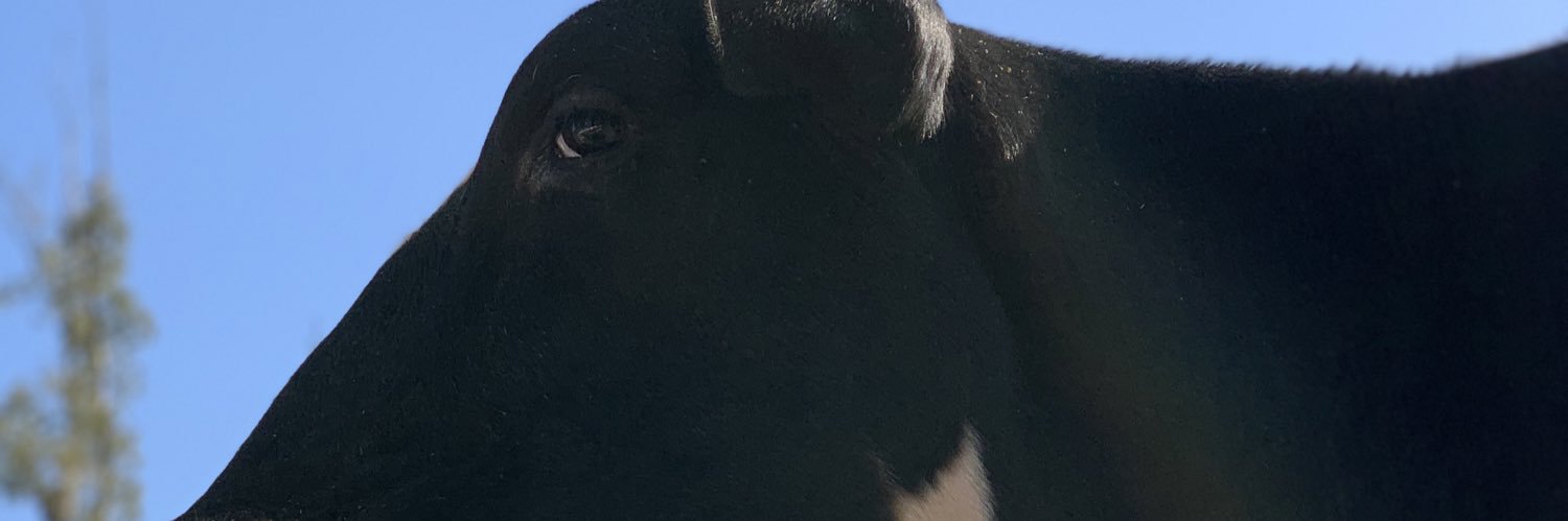 jftibaldi's profile banner image