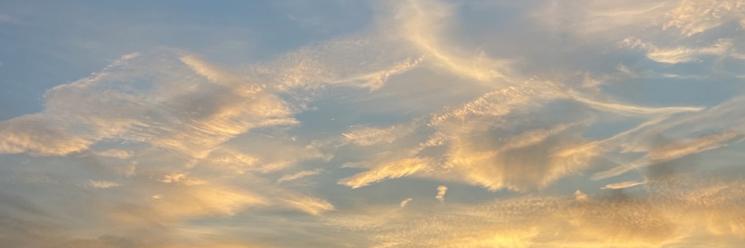 CaveyeAxelle's profile banner image