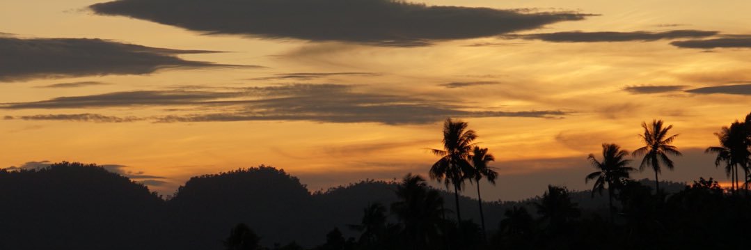 lscmt's profile banner image