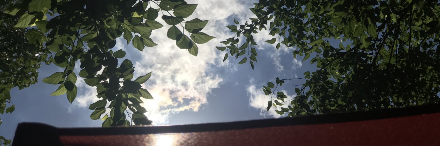 ThatChiGuy's profile banner image