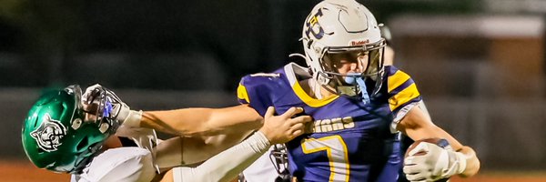 tayrayramm Profile Banner