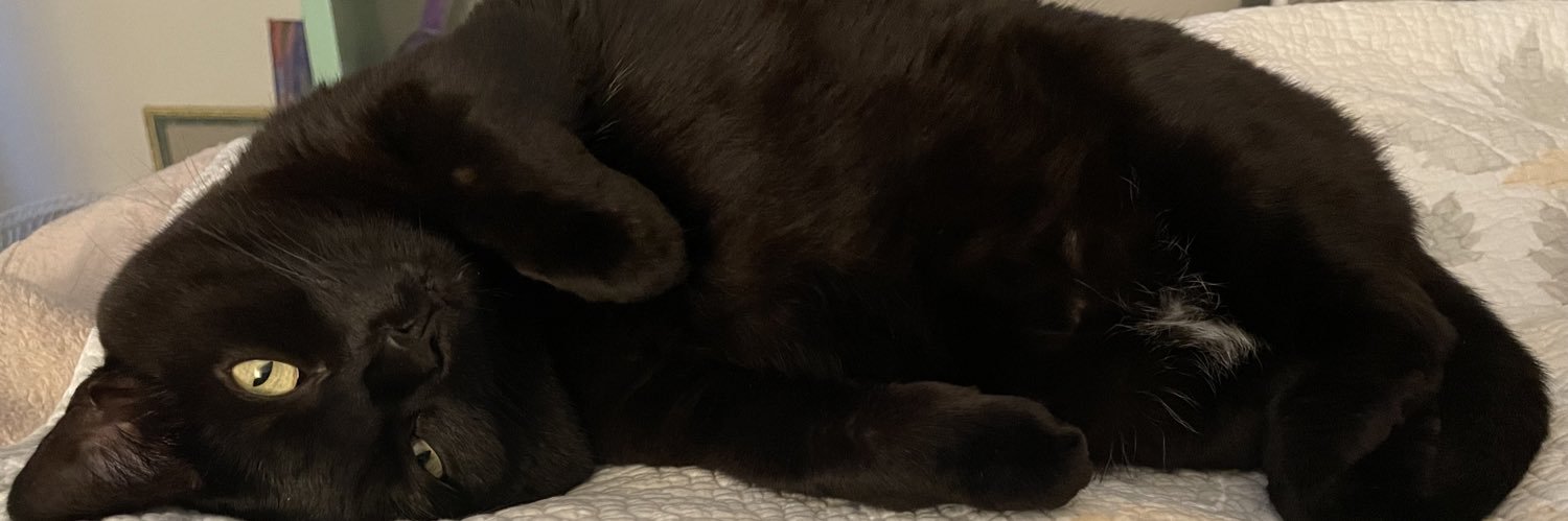 scorpiocrybby's profile banner image