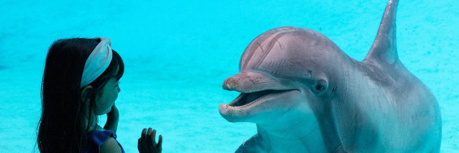 TXStateAquarium's profile banner image
