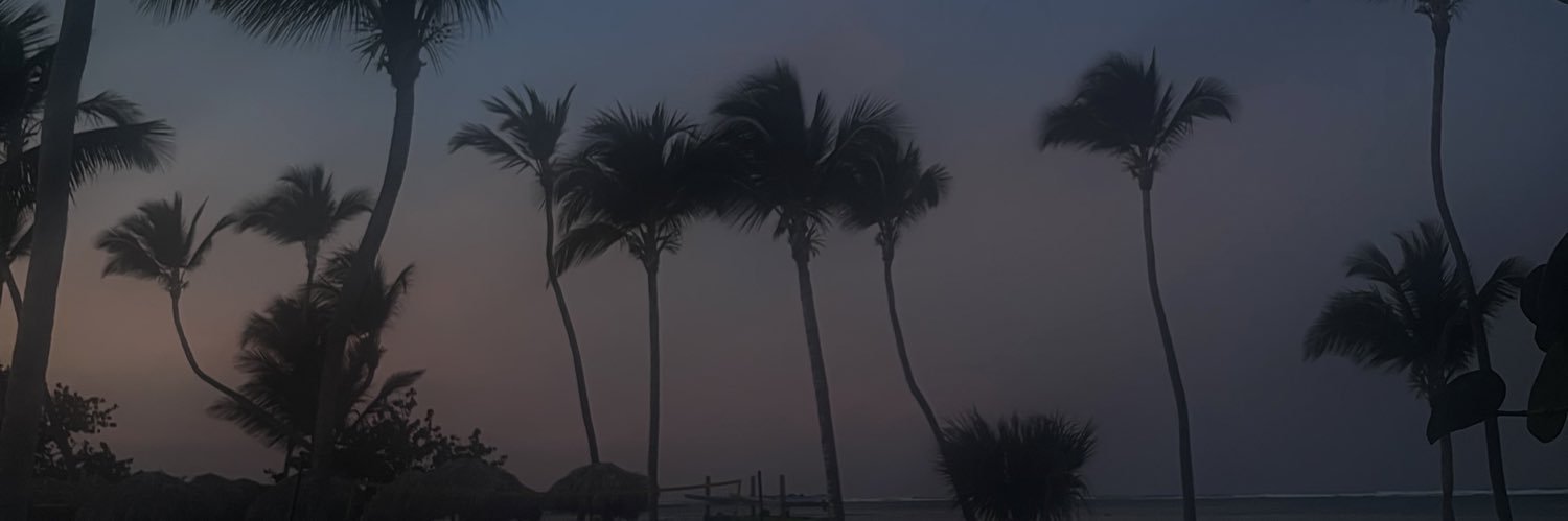 dehlaniii's profile banner image