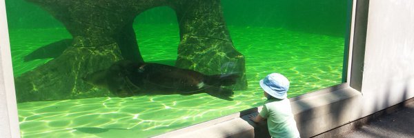 arroncox1982 Profile Banner