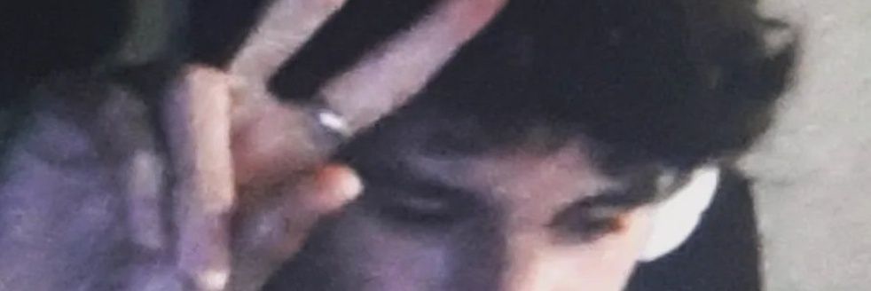 ⋆𐙚capeta˚♡ banner