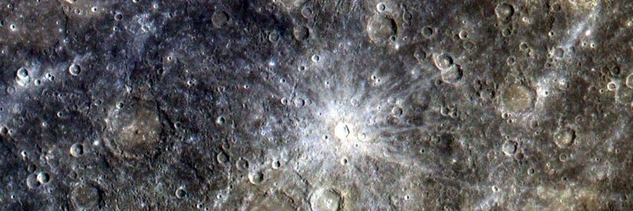 Timothy Stoker of shedtwt banner