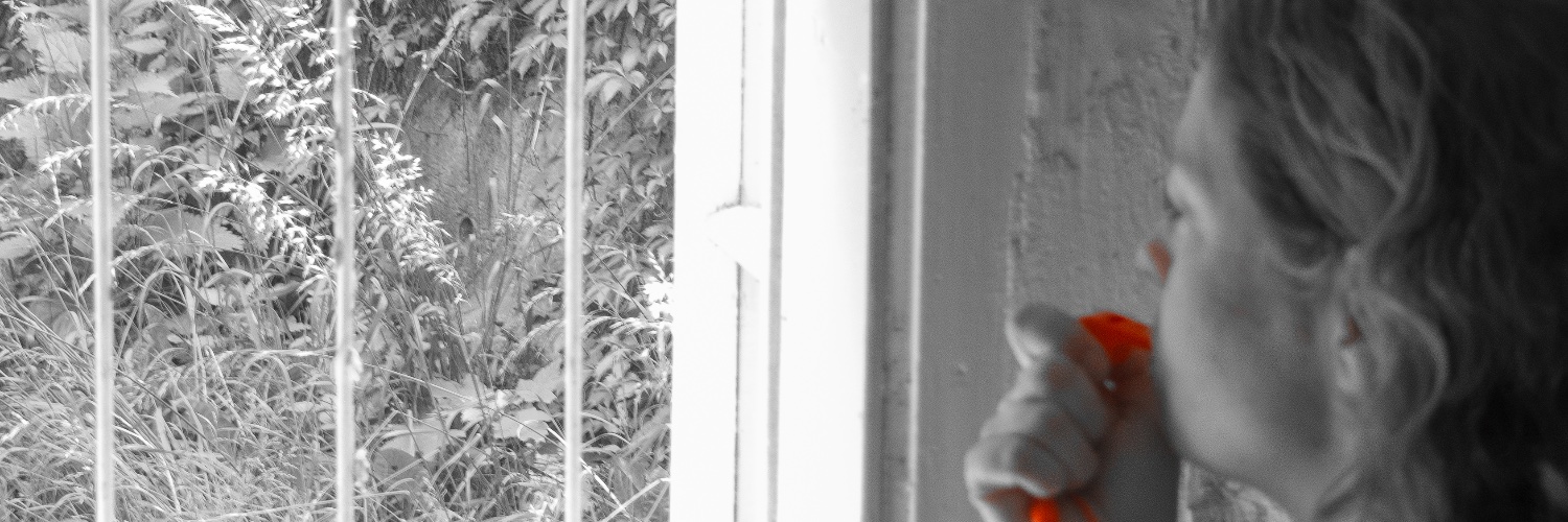 judith_vorbach's profile banner image