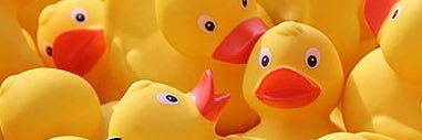 FlacoNft's profile banner image
